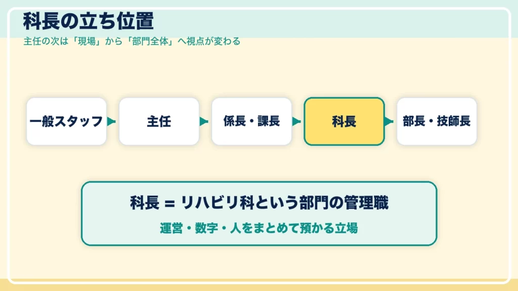 リハビリ科長の立ち位置