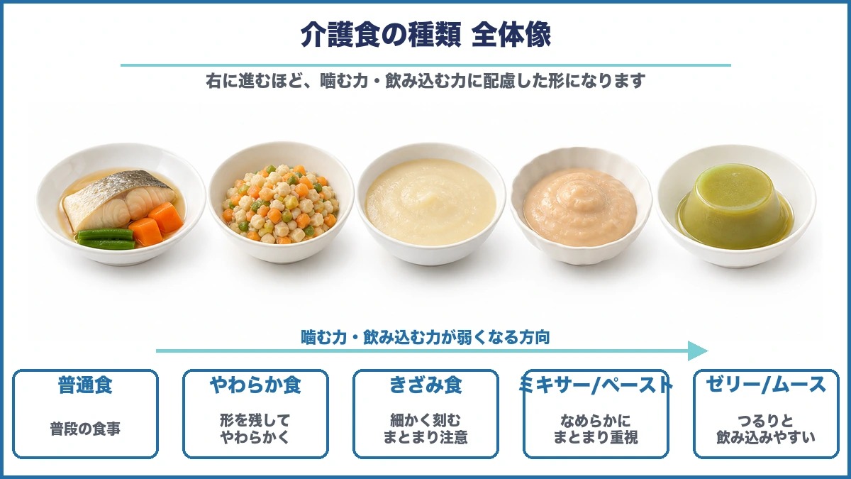 介護食の種類を写真風の食形態で横並びにした全体像図解